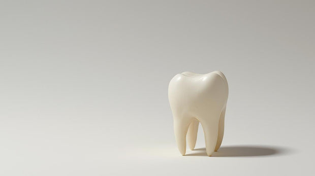 <h2>屯門、元朗、天水圍</h2><h2>牙醫推薦</h2>